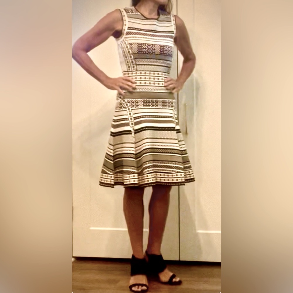 Diane von Furstenberg Eleanor Printed Knit Stretch Sleeveless Dress Medium